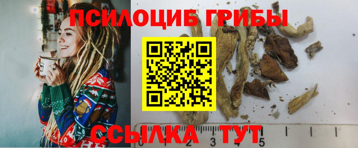 Кемерово  Псилоцибиновые грибы ЛСД  Вход с VPN 